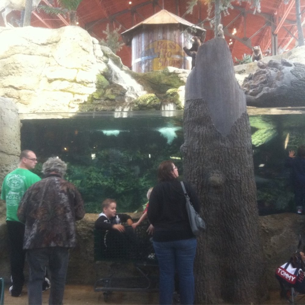 Bass Pro Shops - Outdoor Gear Near Me - Orlando, Florida