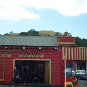 Circus Circus - Cafes Near Me - Auckland, AUK Circus Circus - Cafes Near Me - Auckland, AUK