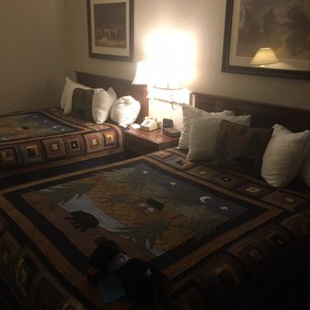 Black Bear Inn, Ascend Hotel Collection - The rooms are so cute! - Hotels Near Me - Orono, Maine Black Bear Inn, Ascend Hotel Collection - The rooms are so cute! - Hotels Near Me - Orono, Maine