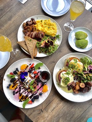 Peacock Pansy by null