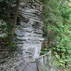 Raven Cliff Falls