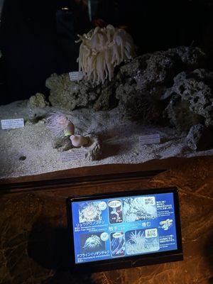 Okinawa Churaumi Aquarium by null