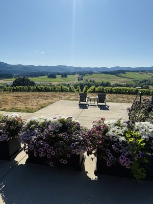 Resonance Vineyard by null
