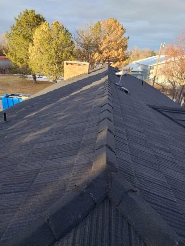 Slide of The Roofing Couple