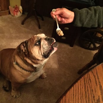 Saddlebrook Resort - Spoon-fed to help keep his 85 lb figure. - Resorts Near Me - Wesley Chapel, Florida