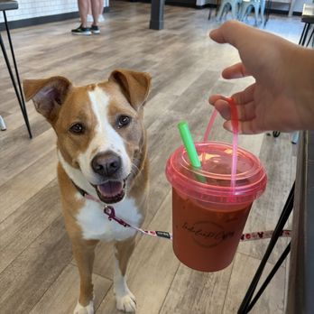 Indialantic Coffee - Coffee & Tea Near Me - Indialantic, Florida Indialantic Coffee - Coffee & Tea Near Me - Indialantic, Florida