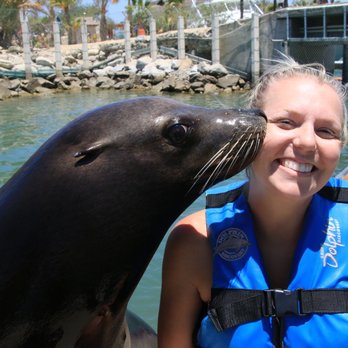 Dolphin Discovery - Aquariums Near Me - Cabo San Lucas, BCS