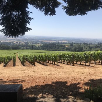 Domaine Drouhin Oregon - Wine Tasting Room Near Me - Dayton, Oregon