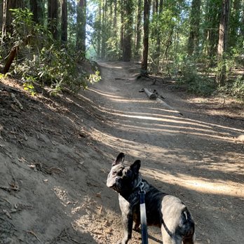 Joaquin Miller Park - Parks Near Me - Oakland, California
