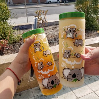 Tea Brick - The cutest koala boba cup - Tea Rooms Near Me - Monterey Park, California Tea Brick - The cutest koala boba cup - Tea Rooms Near Me - Monterey Park, California