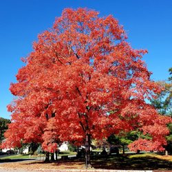 Black Brook Park - Mother Nature Don't Need No Filter!!