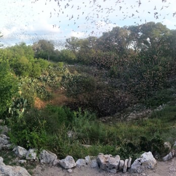 Bracken Bat Cave - Local Flavor Near Me - Garden Ridge, Texas