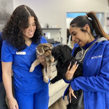 CityVet - Las Colinas - Veterinarians Near Me - Irving, Texas CityVet - Las Colinas - Veterinarians Near Me - Irving, Texas