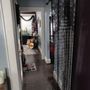 Photo of Crystal Coven Mystic Cottage