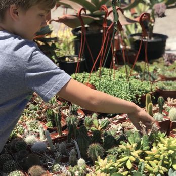 Rancho Vista Cacti & Succulent - Nurseries & Gardening Near Me - Vista, California Rancho Vista Cacti & Succulent - Nurseries & Gardening Near Me - Vista, California
