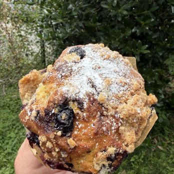 Artifact Coffee - Blueberry Muffin - Cafes Near Me - Baltimore, Maryland