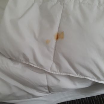 La Quinta by Wyndham Macon - Why we slept in our own comforters - Hotels Near Me - Macon, Georgia