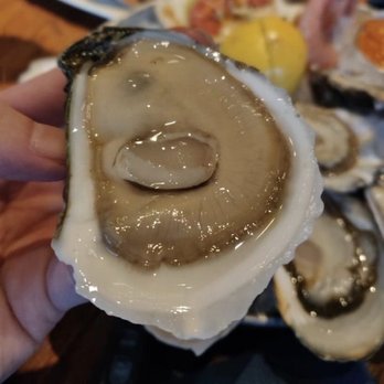 Taylor Shellfish Farms - Seafood Near Me - Seattle, Washington Taylor Shellfish Farms - Seafood Near Me - Seattle, Washington