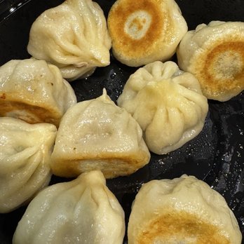 Dumpling World - Pan-Fried Thumb Bun-Shrimp & Pork & Chive (10) - Chinese Near Me - Austin, Texas