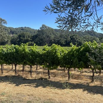 ONX Wines - The Onx vineyard - Wineries Near Me - Paso Robles, California