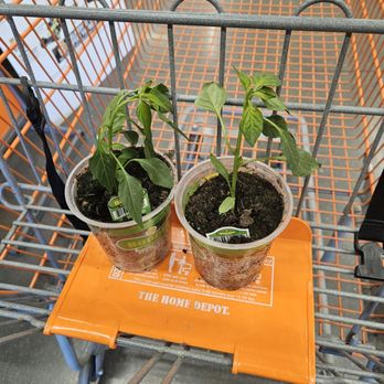 The Home Depot - Nurseries & Gardening Near Me - Oklahoma City, Oklahoma