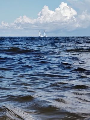 Dr. Von D. Mizell-Eula Johnson State Park by null