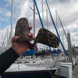 Dark Water Boat Maintenance