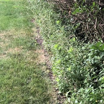 Jose Alfaro Landscaping - Too lazy to move the lawn mower a foot! - Landscaping Near Me - Waukegan, Illinois Jose Alfaro Landscaping - Too lazy to move the lawn mower a foot! - Landscaping Near Me - Waukegan, Illinois