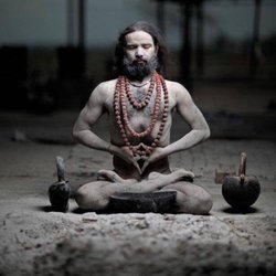 Pandit Shivananda - Any problems can solved within days