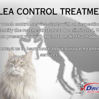 Dave's Pest Control Services - Pest Control Near Me - Broussard, Louisiana Dave's Pest Control Services - Pest Control Near Me - Broussard, Louisiana