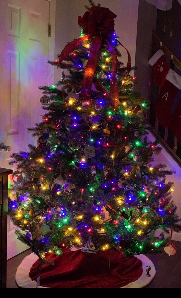 AT HOME RECREATION Updated August 2024 15 Reviews 370 Highway 36