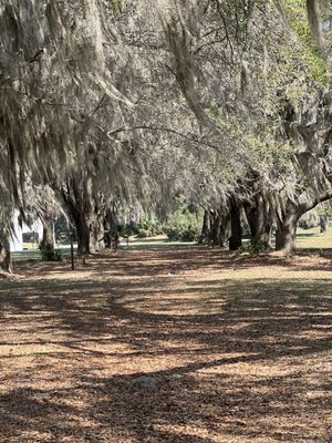 Fort Frederica National Monument by null