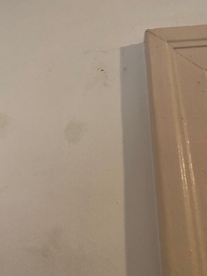 Hotel del Flores by null