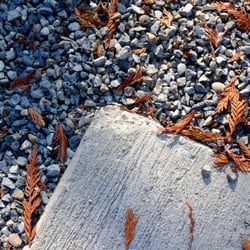 Saylor Landscaping - Newly poured concrete square with edge broken in installation