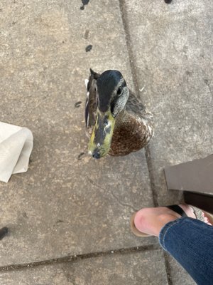 Adventures Unbound: Columbia Island Marina by null