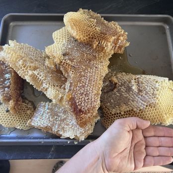 Bee Removal - Pest Control Near Me