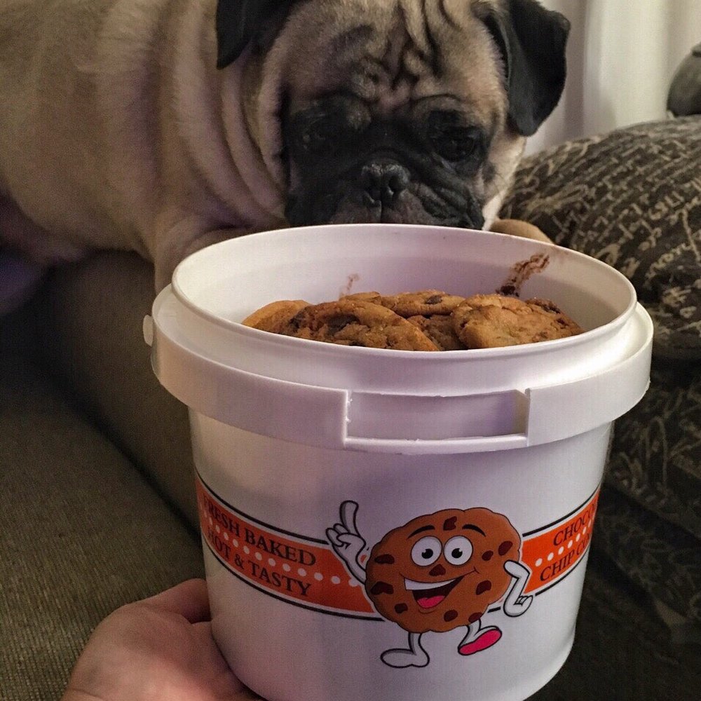 Cathy's Cookies - They Smell Buttery. - Desserts Near Me - Orange, California Cathy's Cookies - They Smell Buttery. - Desserts Near Me - Orange, California