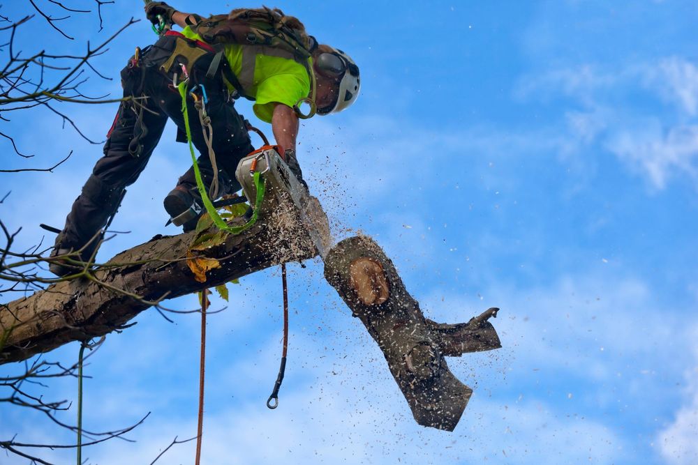 Colonial Tree & Landscaping - tree service in Buxton, ME
