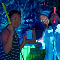 Rainforest Black Light Golf & Arcade
