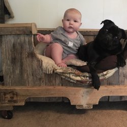 Mettle and Wood Furniture - Orin and Bostwick in our three year old dog bed.