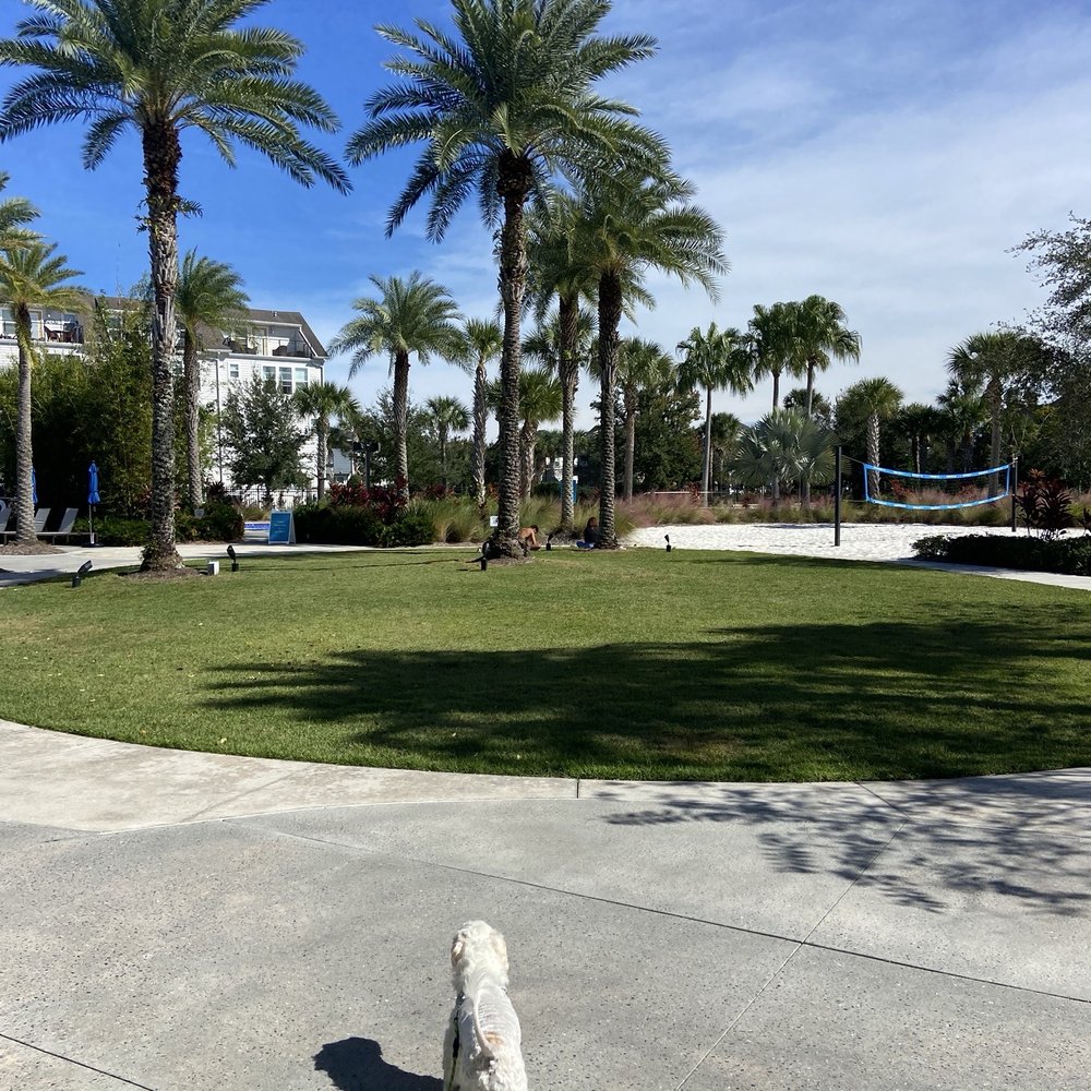 Laureate Park - Playgrounds Near Me - Orlando, Florida Laureate Park - Playgrounds Near Me - Orlando, Florida