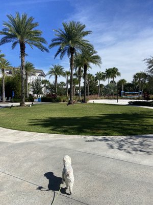 Laureate Park by null