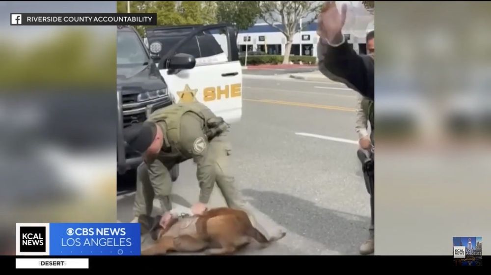 Riverside County Sheriff's - social services organization in Riverside, CA