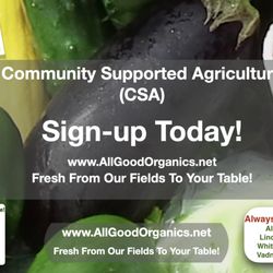 All Good Organics - Sign-up today for All Good Organics' Community Supported Agriculture (CSA) in 2023. Get 16 weeks of Certified Organic Vegetables!