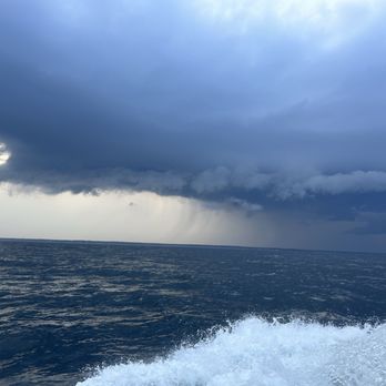 Granite State Whale Watch - Whale Watching Tours Near Me