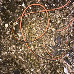 Horse Post Farm - Wires found in my horses stall under all of the poop