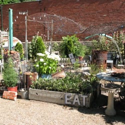 Linwood and Troost Community Garden - It's alive!!!