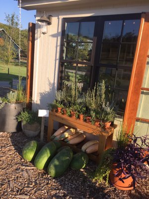 Southall Farm & Inn Farmstand by null