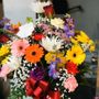 Photo of Spring Garden Flowers