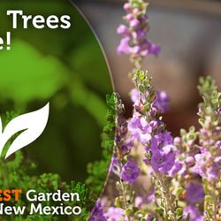 Garden Center of Las Cruces